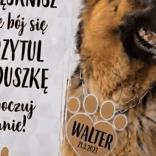 poduszka-ze-zdj-ciem-twojego-pupila-z-imieniem-i-d-1942-gifsec