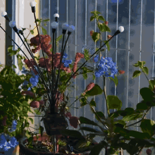 gif — Solarne lampki ogrodowe Świetliki – 75 cm, 8 ciepłych LED
